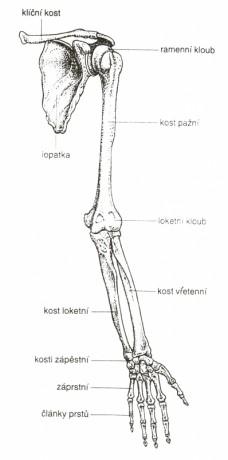 pleten-horni-koncetiny